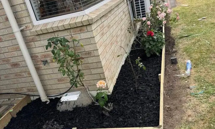 Garden planting service in Papakura, Auckland