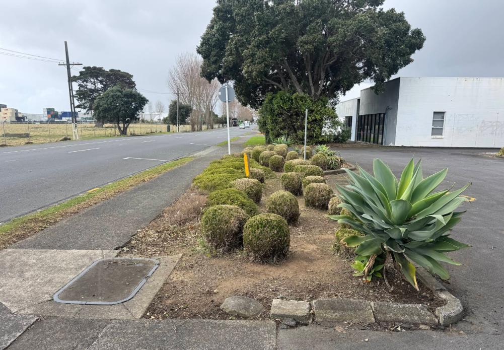 Garden bed maintenance and planting in Papakura