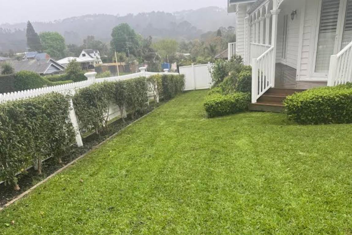 Lawn mowing and hedge maintenance in Papakura