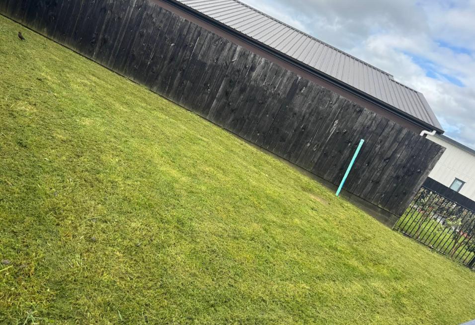 Professional lawn mowing and edge trimming in Papakura
